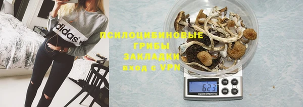 дурь Алзамай