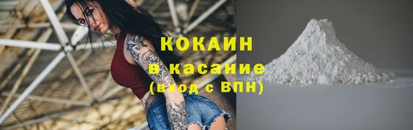 ПСИЛОЦИБИНОВЫЕ ГРИБЫ Алексин