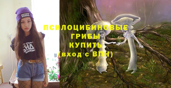 дурь Алзамай