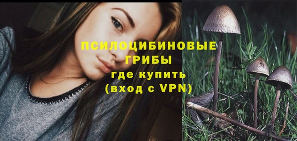 ПСИЛОЦИБИНОВЫЕ ГРИБЫ Алексин